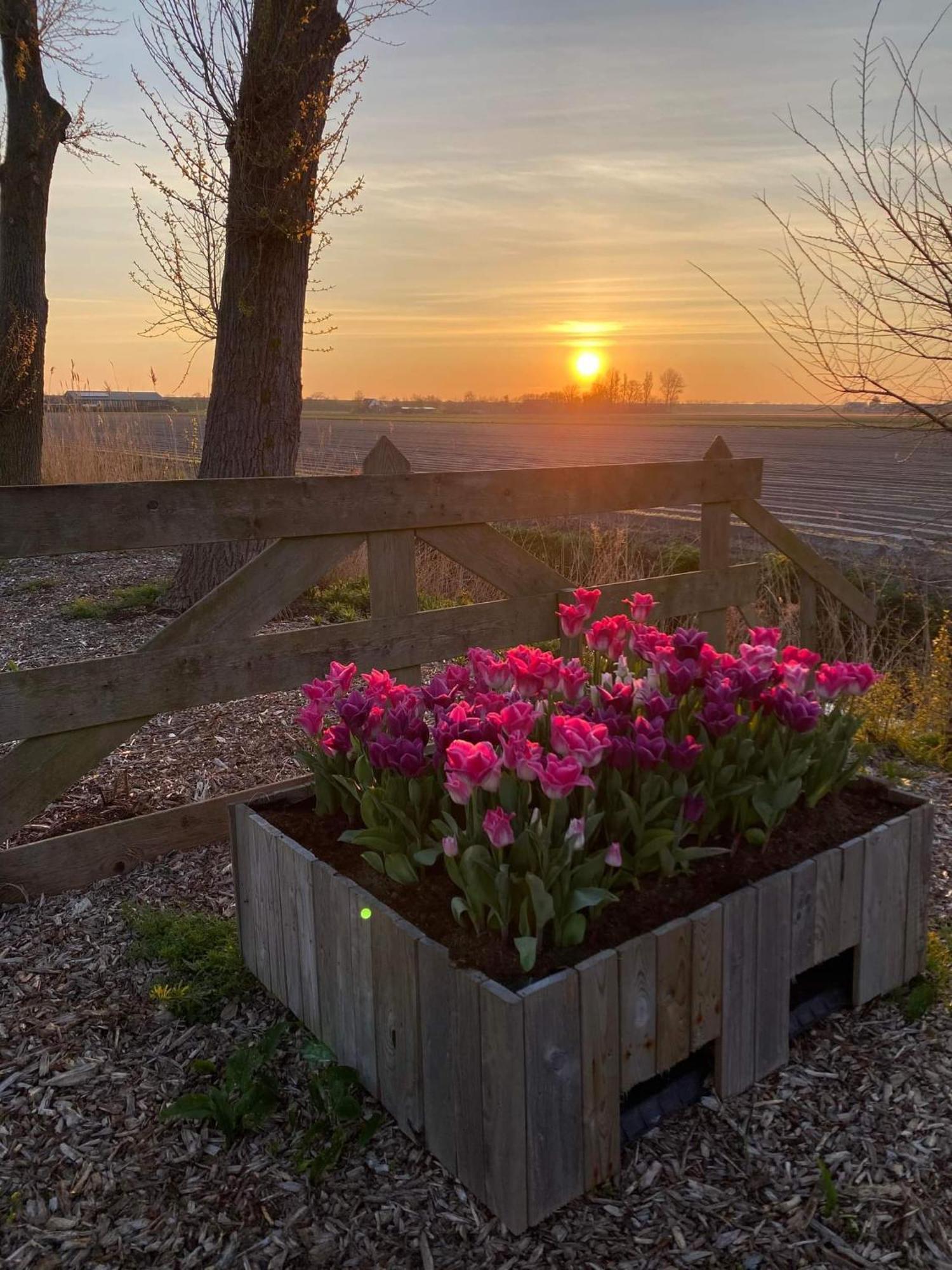 Camping De Tulpenweide Lege Kampeerplaats, Lege Plaats Op Het Gras Zonder Bed Breezand Exteriör bild