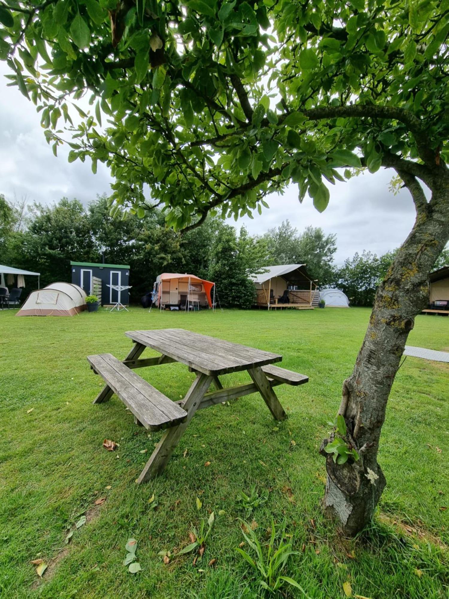 Camping De Tulpenweide Lege Kampeerplaats, Lege Plaats Op Het Gras Zonder Bed Breezand Exteriör bild