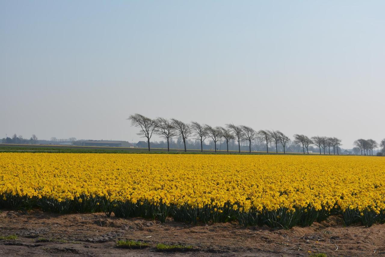 Camping De Tulpenweide Lege Kampeerplaats, Lege Plaats Op Het Gras Zonder Bed Breezand Exteriör bild