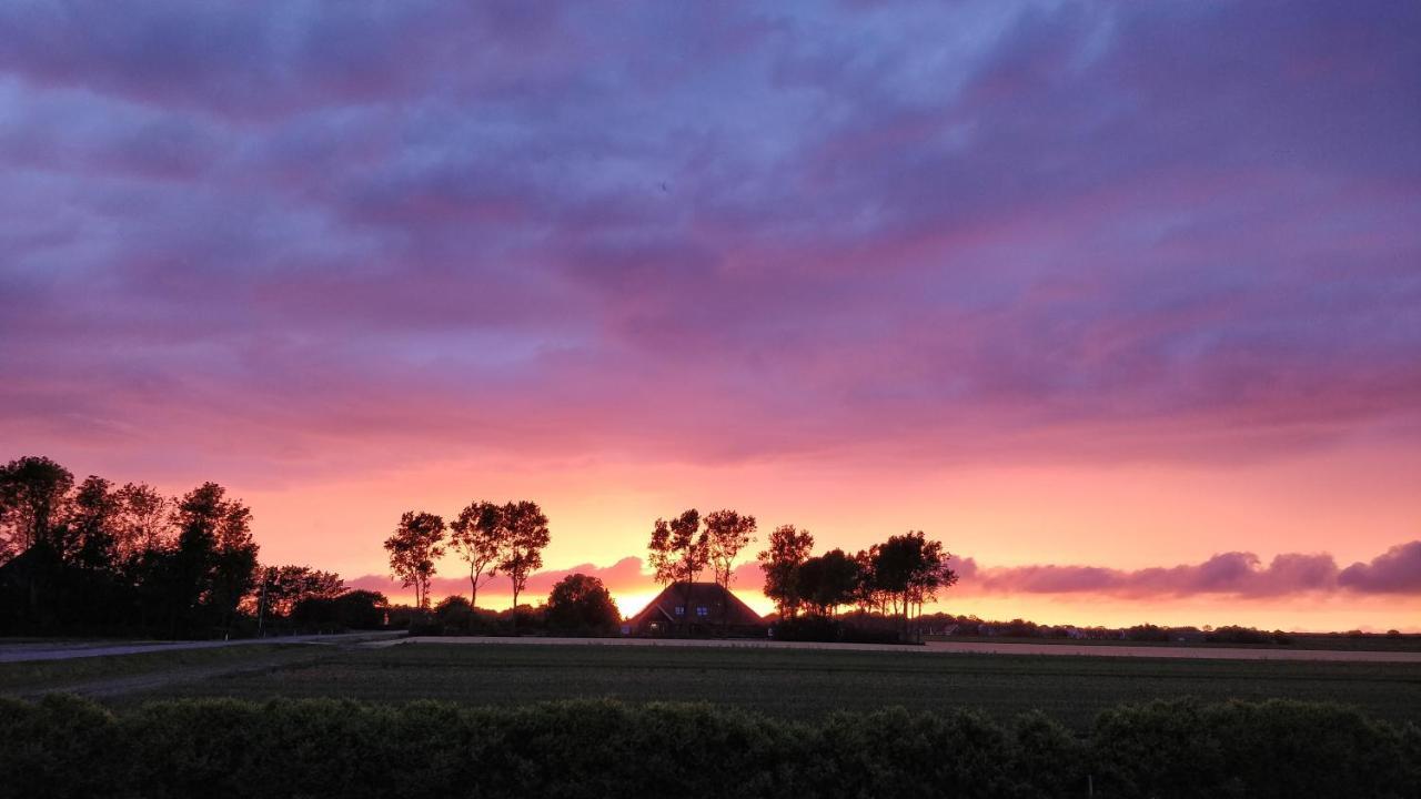 Camping De Tulpenweide Lege Kampeerplaats, Lege Plaats Op Het Gras Zonder Bed Breezand Exteriör bild